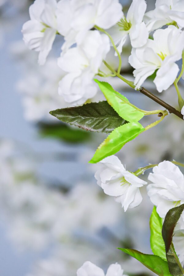 Detailed close-up of a white cherry blossom cluster
