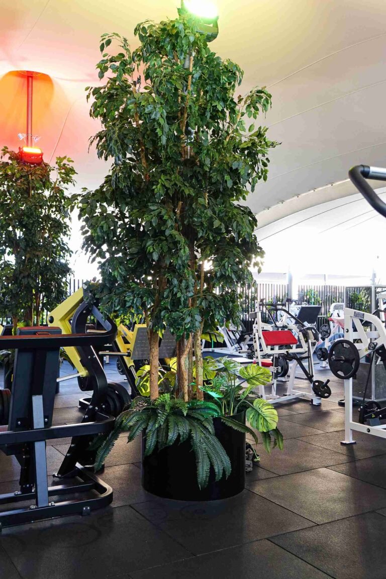 artificial ficus tree
