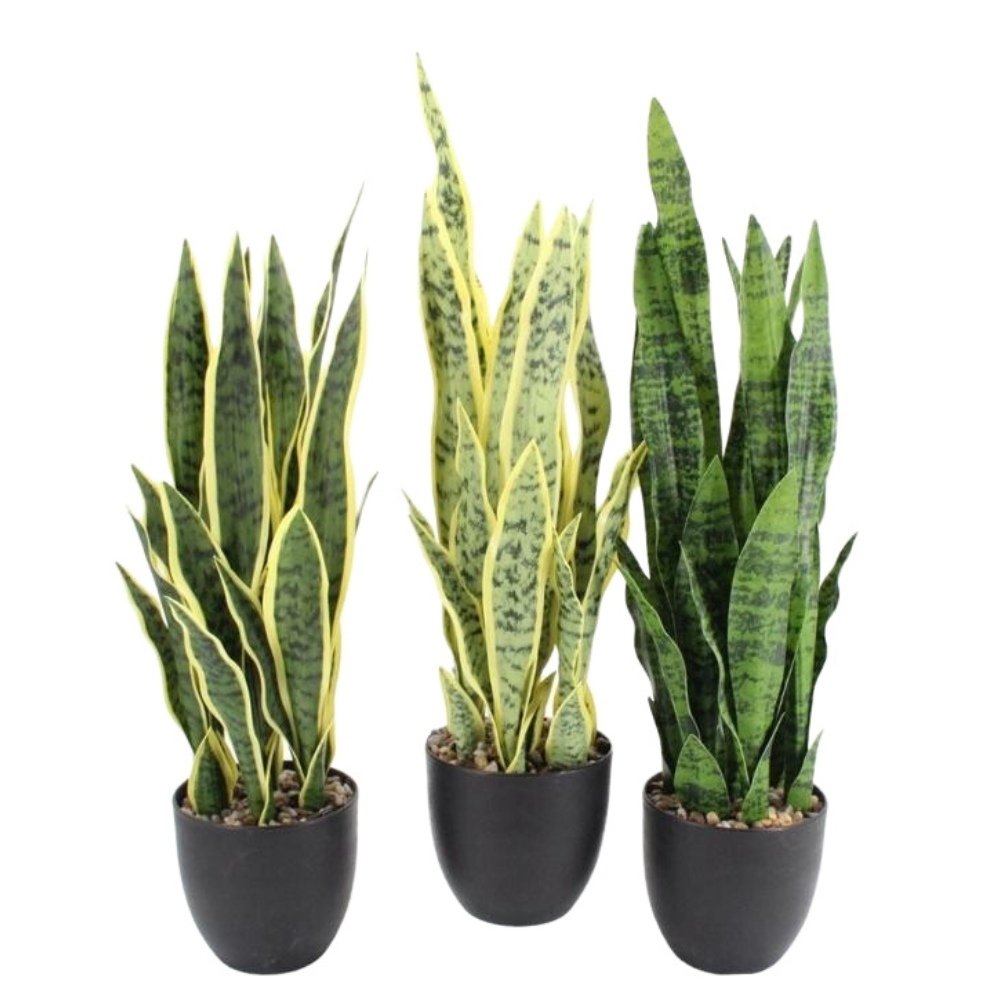 artificial snake plant