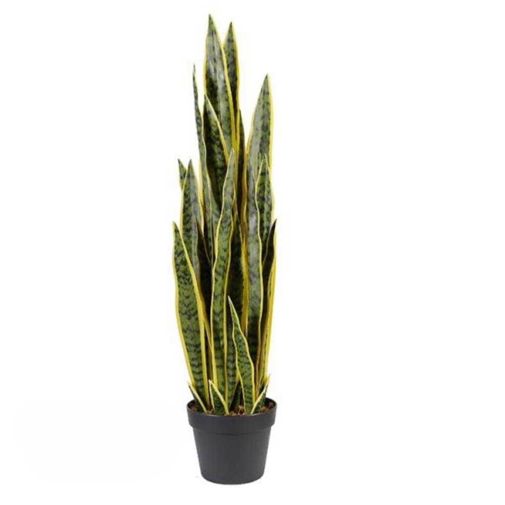 artificial snake plant