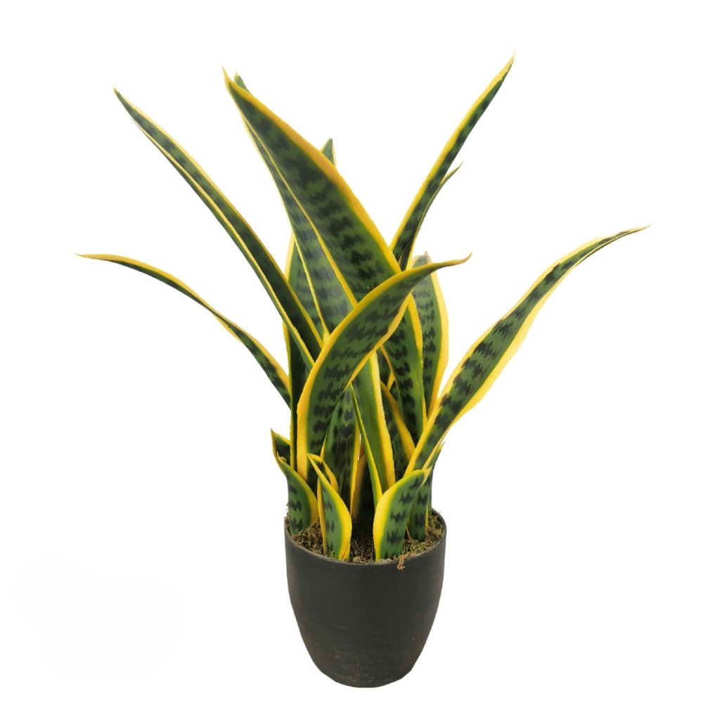 artificial snake plant