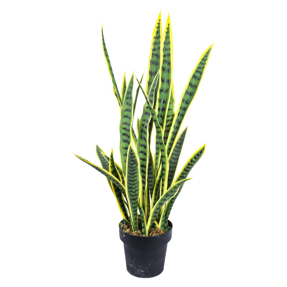 artificial snake plant