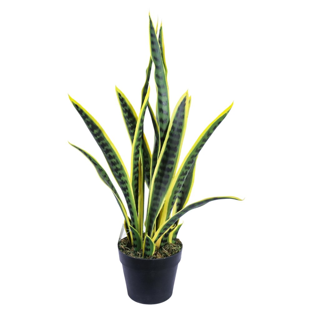 artificial snake plant