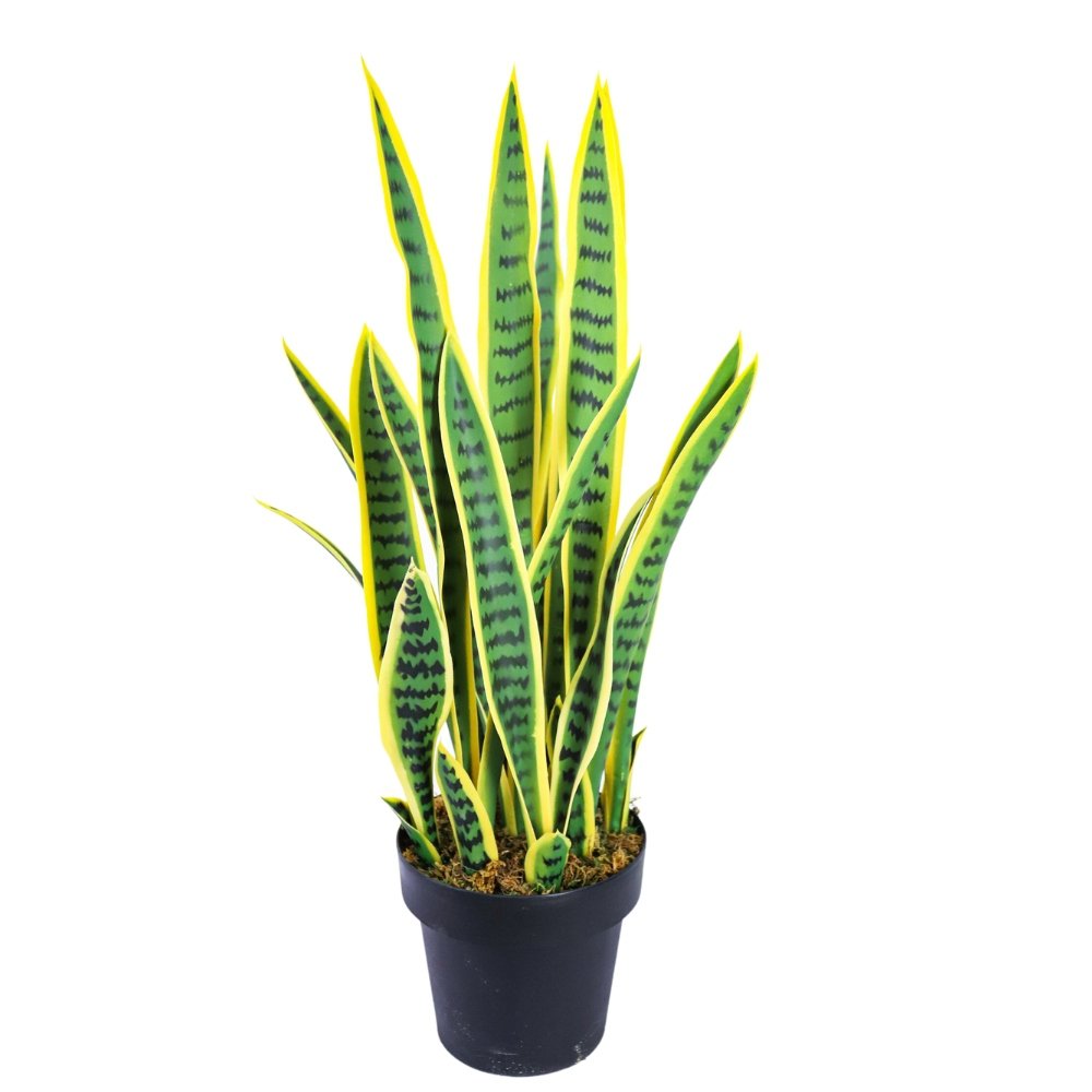 artificial snake plant