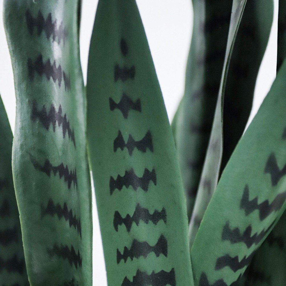 artificial snake plant