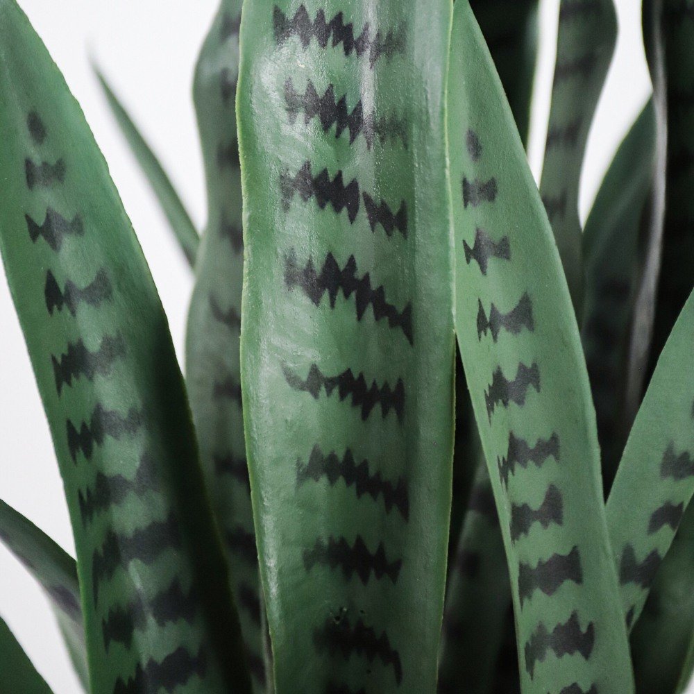 artificial snake plant