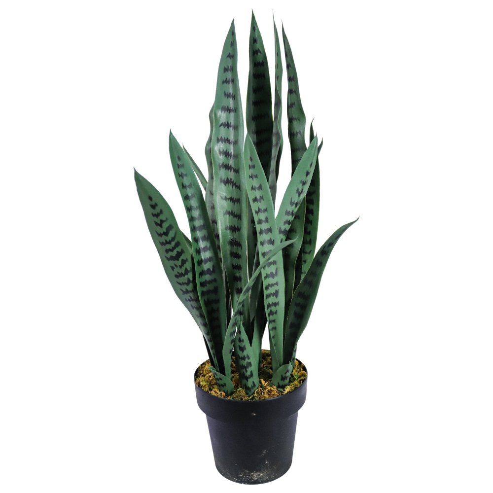 artificial snake plant