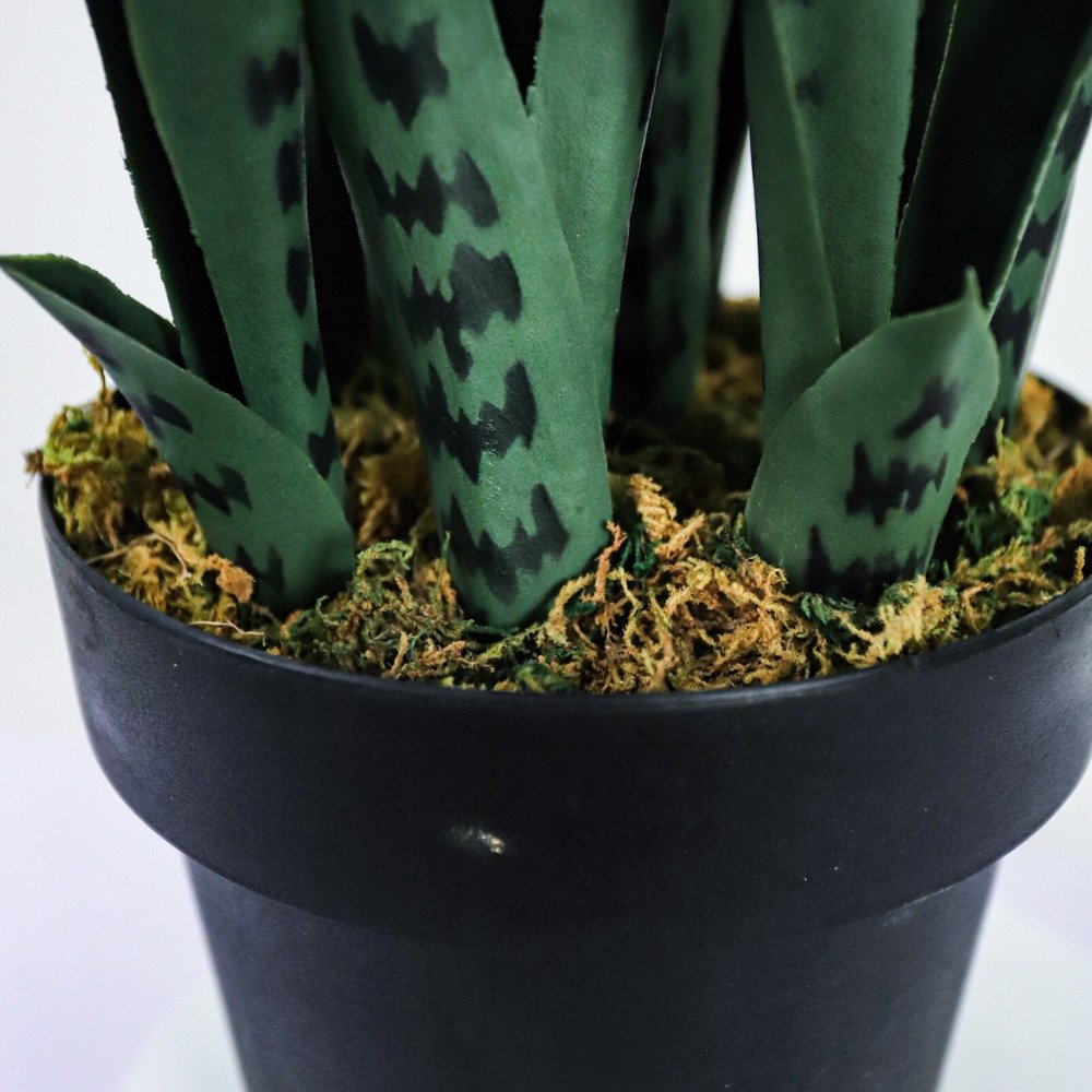 artificial snake plant