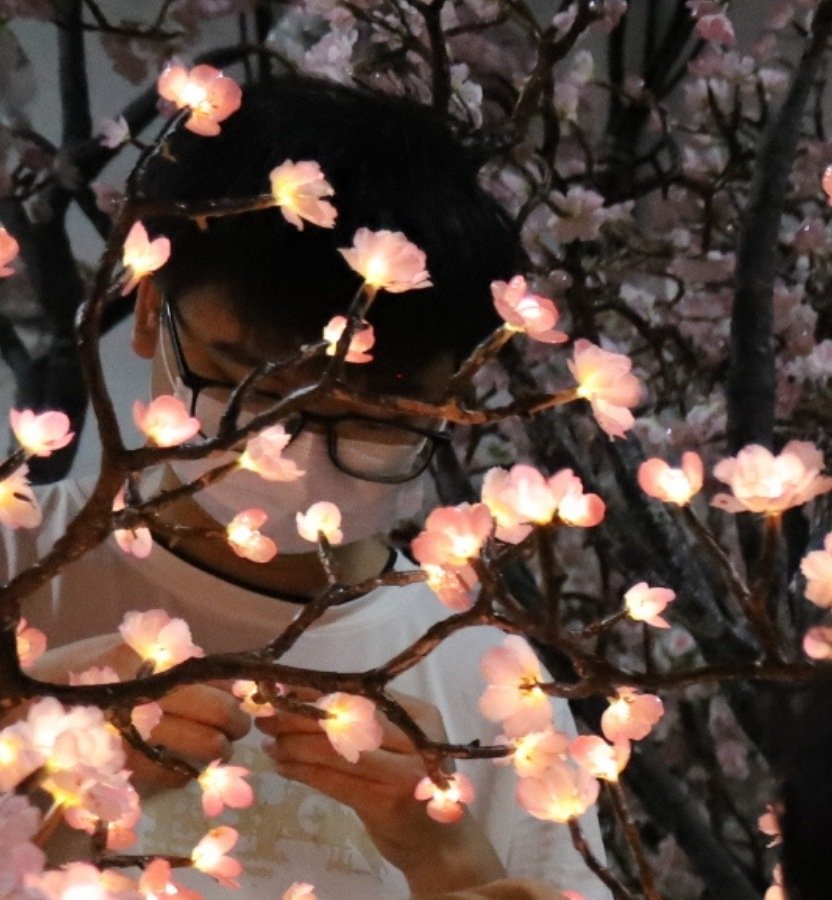 Close-up of integrated warm white LED lights inside translucent pink PVC cherry blossom petals.