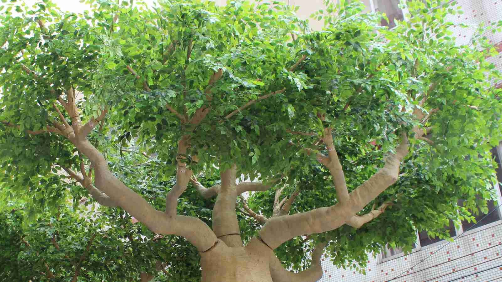 Artificial baobab branches and foliage forming the crown