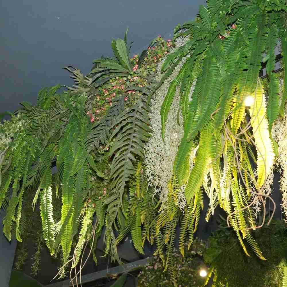 High-density UV-resistant artificial hanging ferns and foliage mix for maintenance-free commercial botanical backdrops.