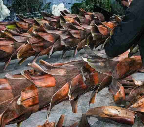 Artisans applying real bark to the trunk