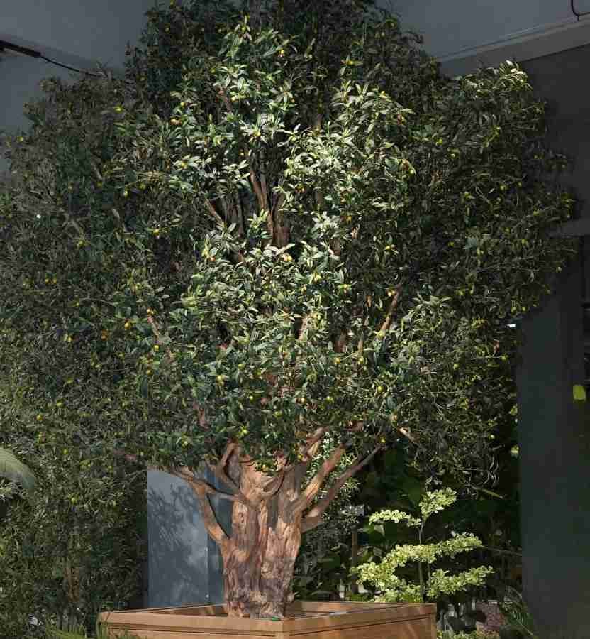 A grand bespoke artificial olive tree with dense foliage and a handcrafted natural wood trunk, housed in a custom-made large wooden planter as part of a complete Oakco landscape solution.