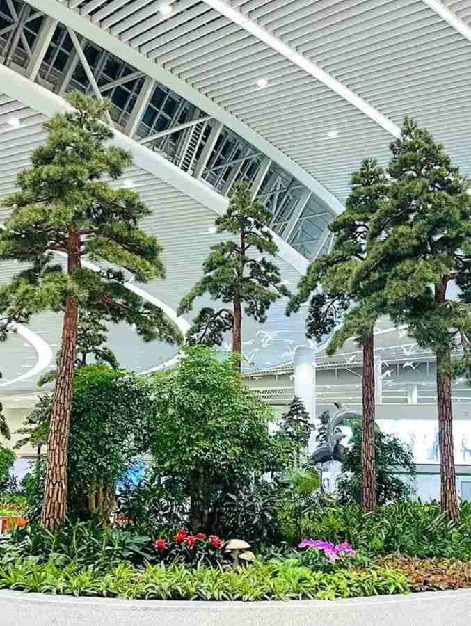 Artificial pine trees installed in a large indoor commercial space, creating a natural landscape environment for public areas