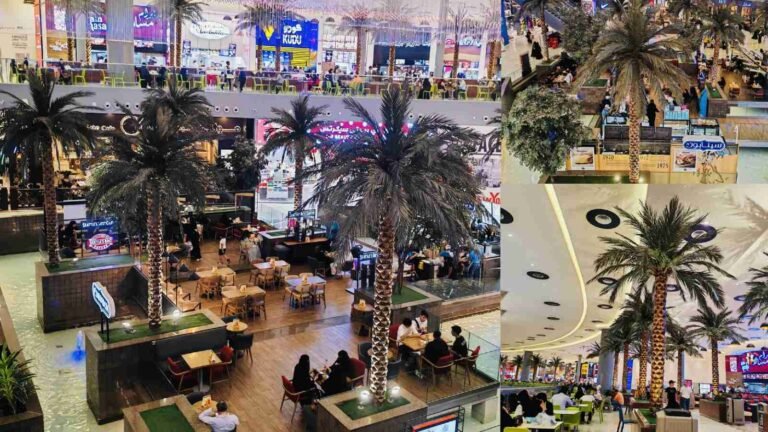 Large-scale indoor commercial greenery solution by Oakco featuring multiple preserved Washingtonia palm trees in a busy shopping mall dining area.