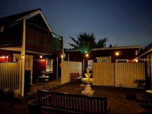 Preserved palm tree for commercial decoration with natural trunk and realistic green fronds