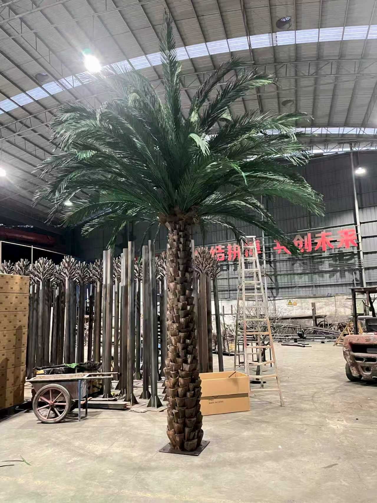how to choose the right palm tree for your project