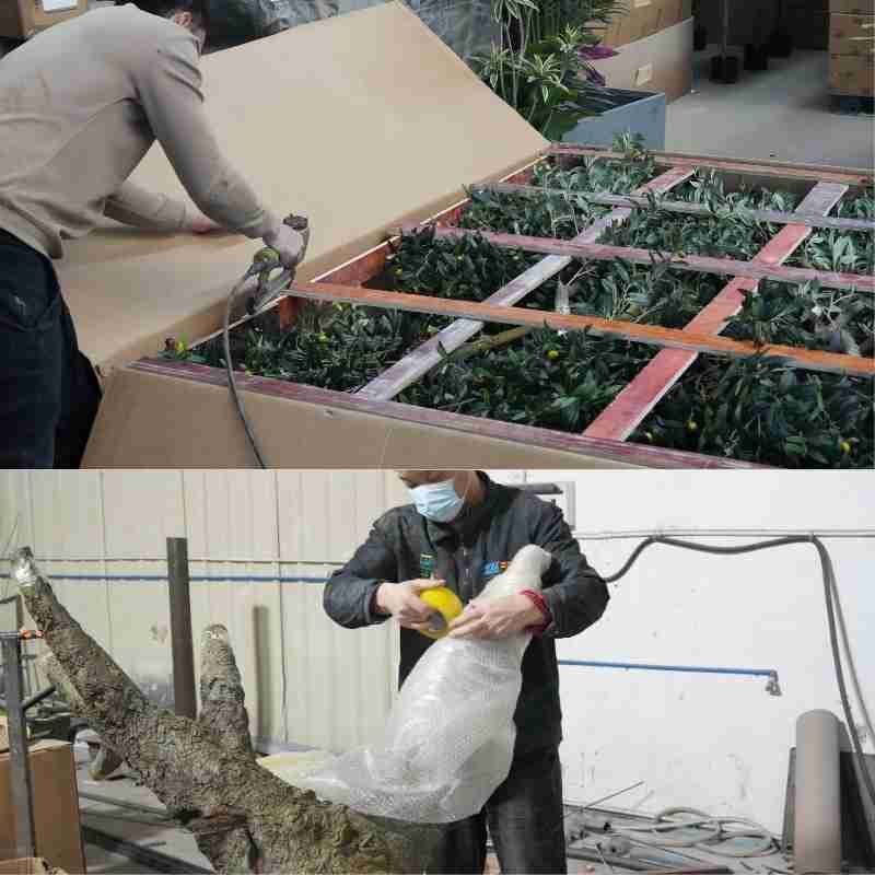 Packed branches of a custom artificial olive tree prepared for export shipping