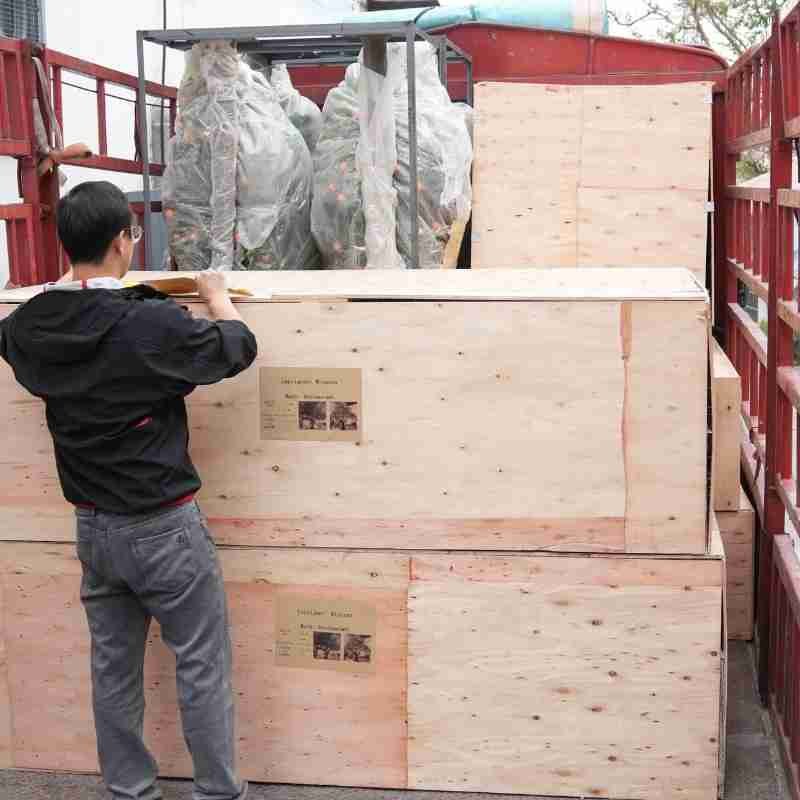 Custom artificial olive tree packed in wooden crates and loaded for project delivery