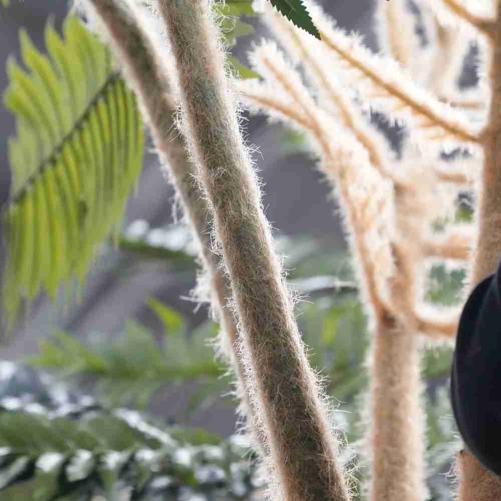 Close-up of the signature Oakco "soft fuzz" texture on the branches of an artificial fern tree for botanical accuracy.
