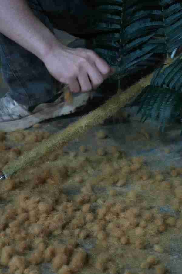 Artisan hand-applying botanical fibers to create the realistic fern fuzz texture.