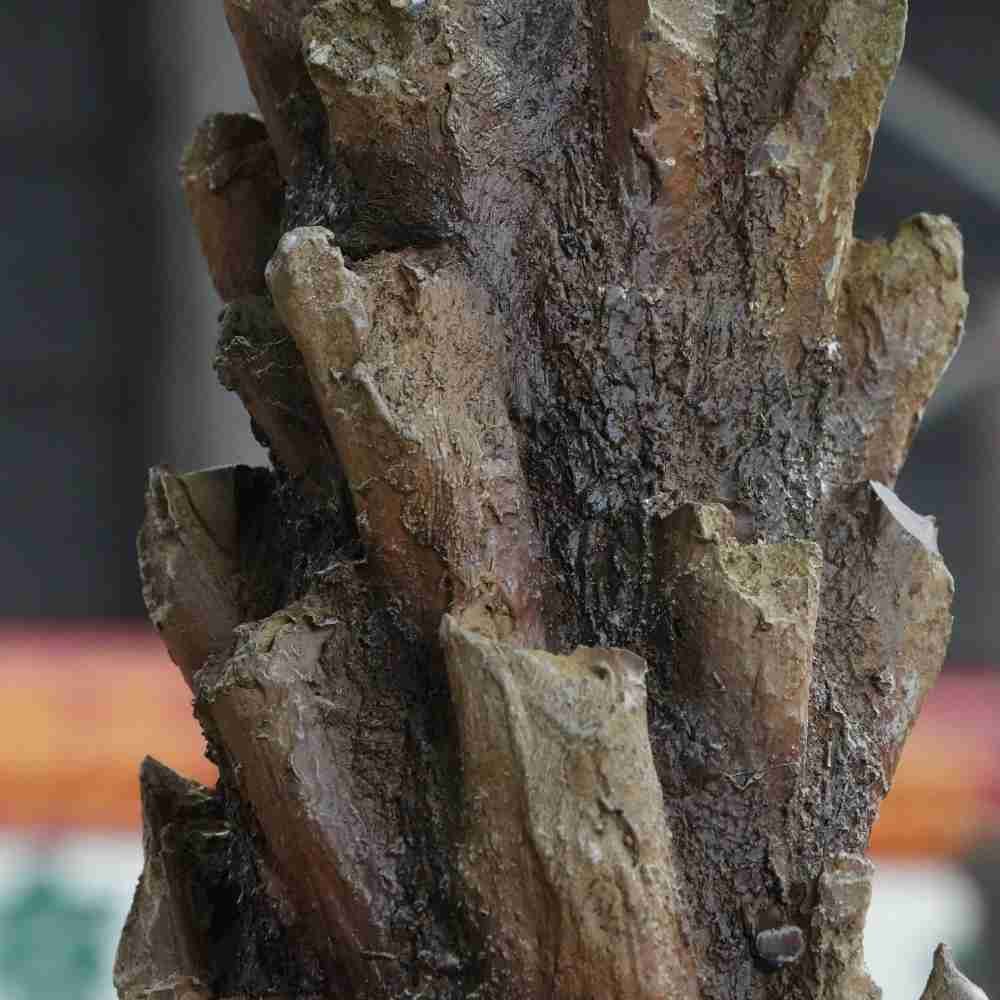 Detailed view of the hand-sculpted, hyper-realistic bark texture on an Oakco fiberglass tree trunk.