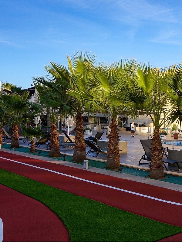 Custom artificial palm trees installed for resort poolside, water park, and outdoor commercial landscape projects