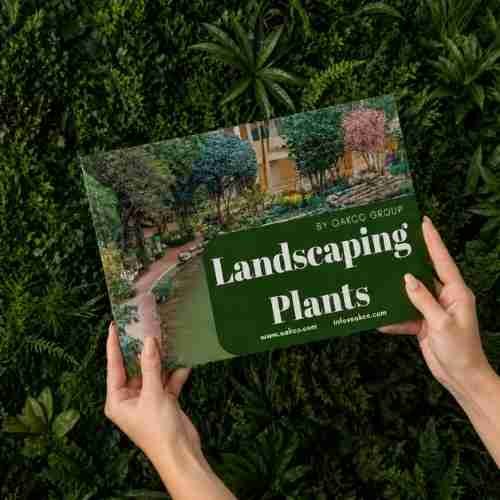 Oakco's first printed catalogue for landscaping plants