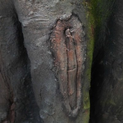 Close-up of handmade artificial tree bark texture with realistic scar detail and moss finish