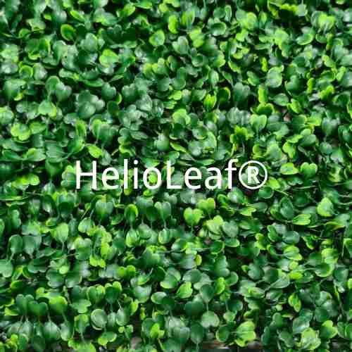 HelioLeaf UV stability technology for outdoor artificial greenery
