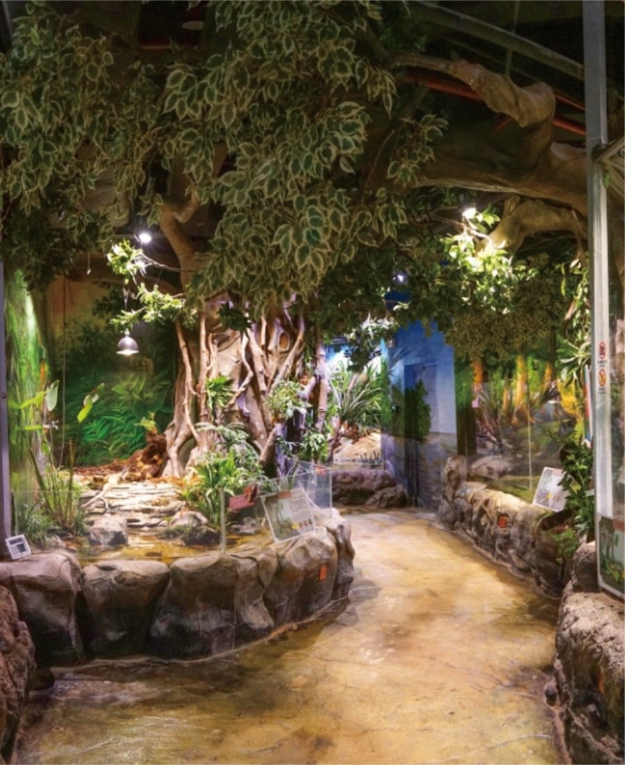 Artificial banyan tree in an indoor theme park landscape