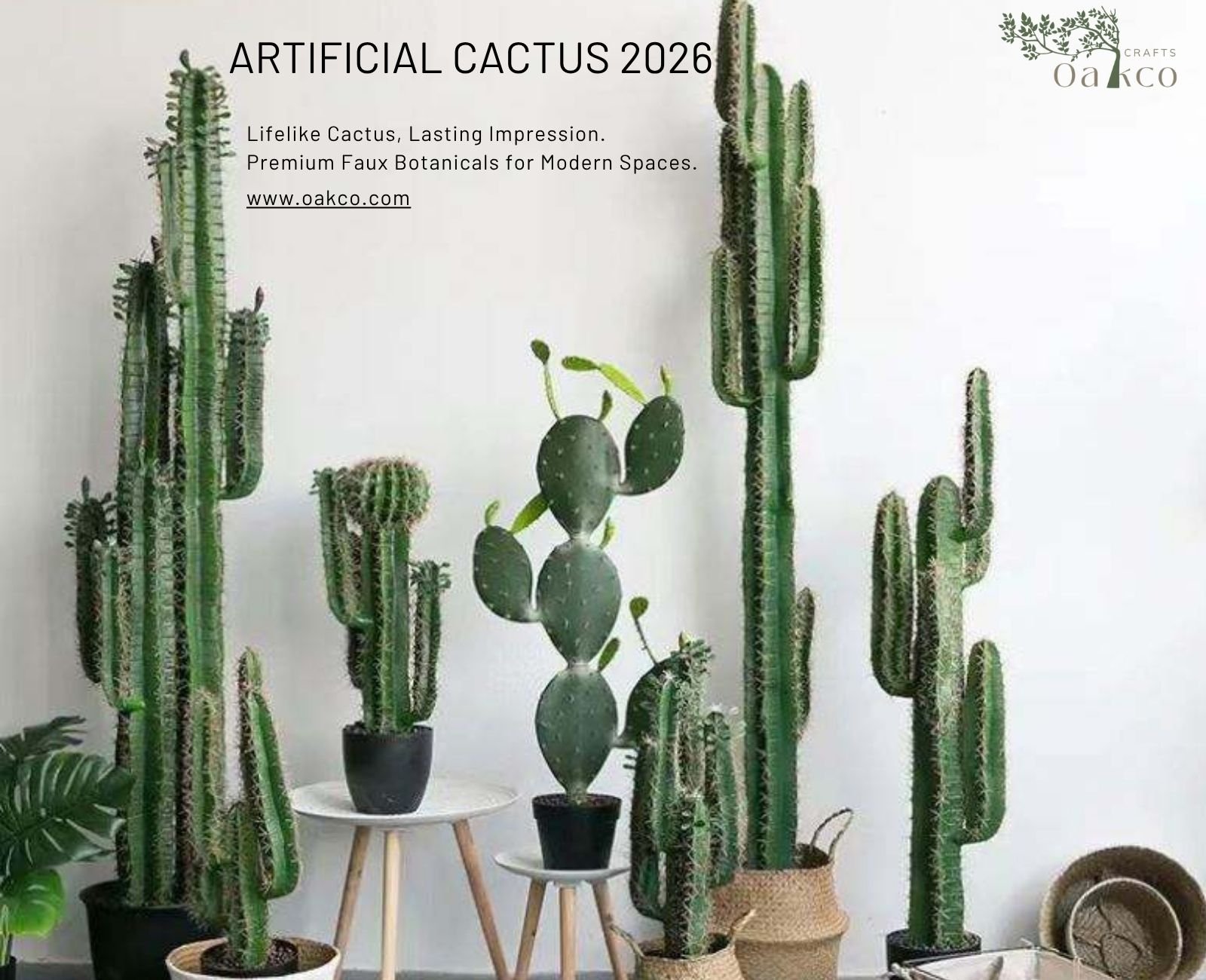 Artificial cactus catalog cover for desert themed interiors, resorts, restaurants, and commercial spaces