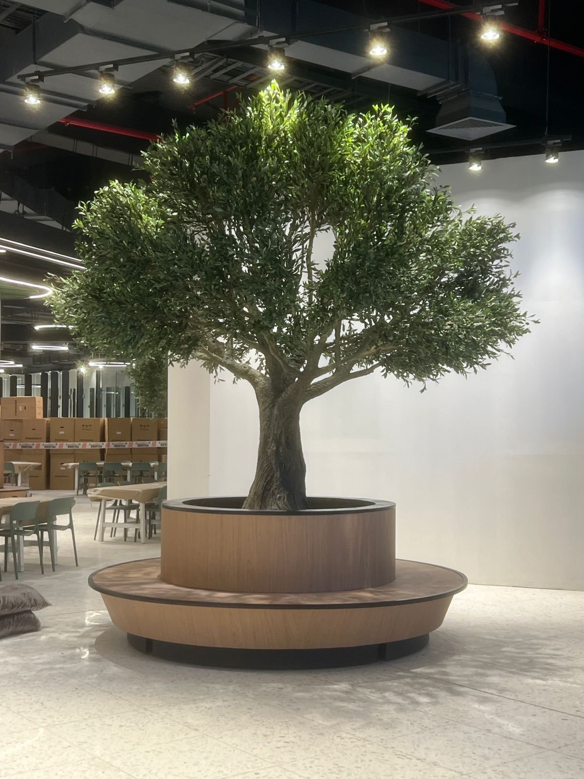 Completed Artificial Olive Tree Installation Completed custom artificial olive tree installed in an office common area