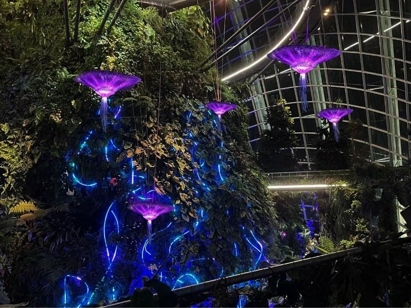 Commercial Rainforest Theming and Green Wall Project Artificial trees and green walls installed in a completed rainforest-themed commercial environment