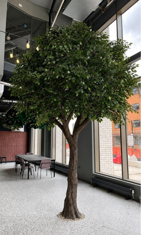Artificial ficus tree in a commercial interior