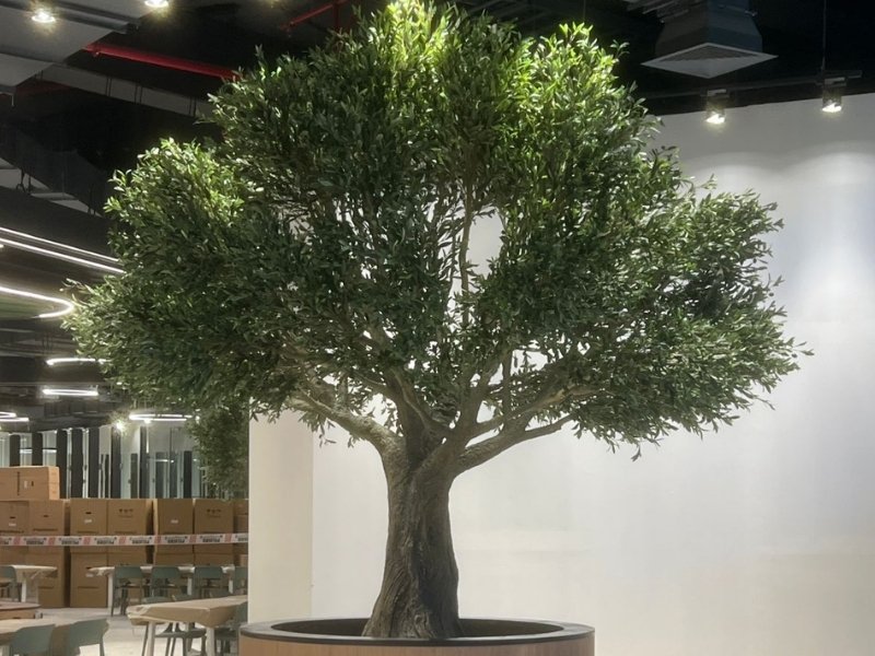 Indoor artificial olive tree for office workplace