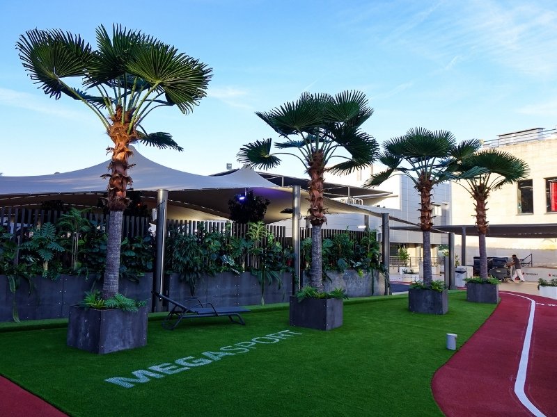 Outdoor artificial palm trees for rooftop spaces