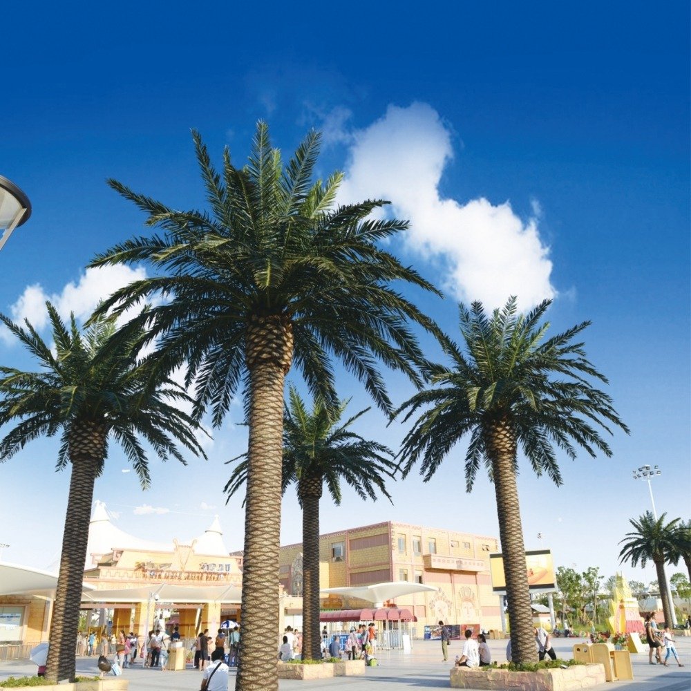 Outdoor artificial palm trees Outdoor artificial palm trees used in a theme park landscape