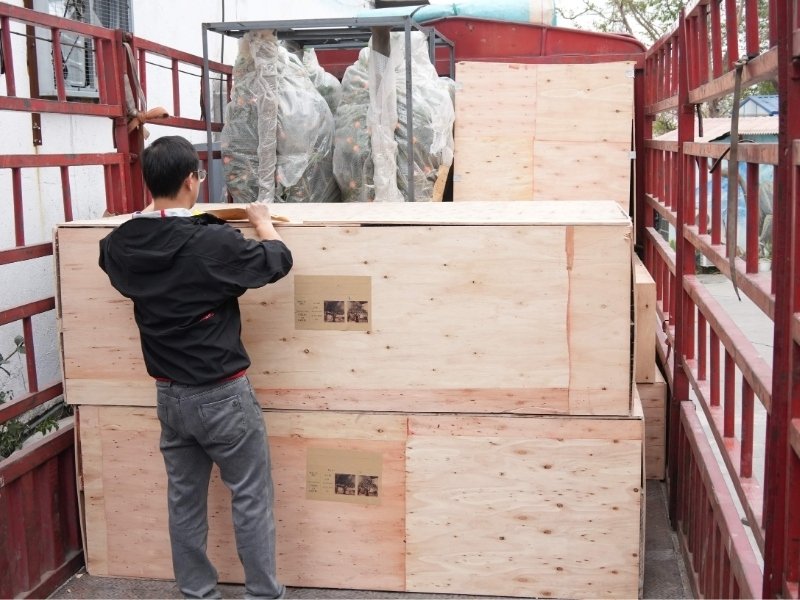 Wooden crate loading for an Oakco artificial tree export project