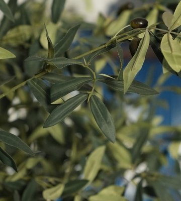 Artificial olive branch foliage detail