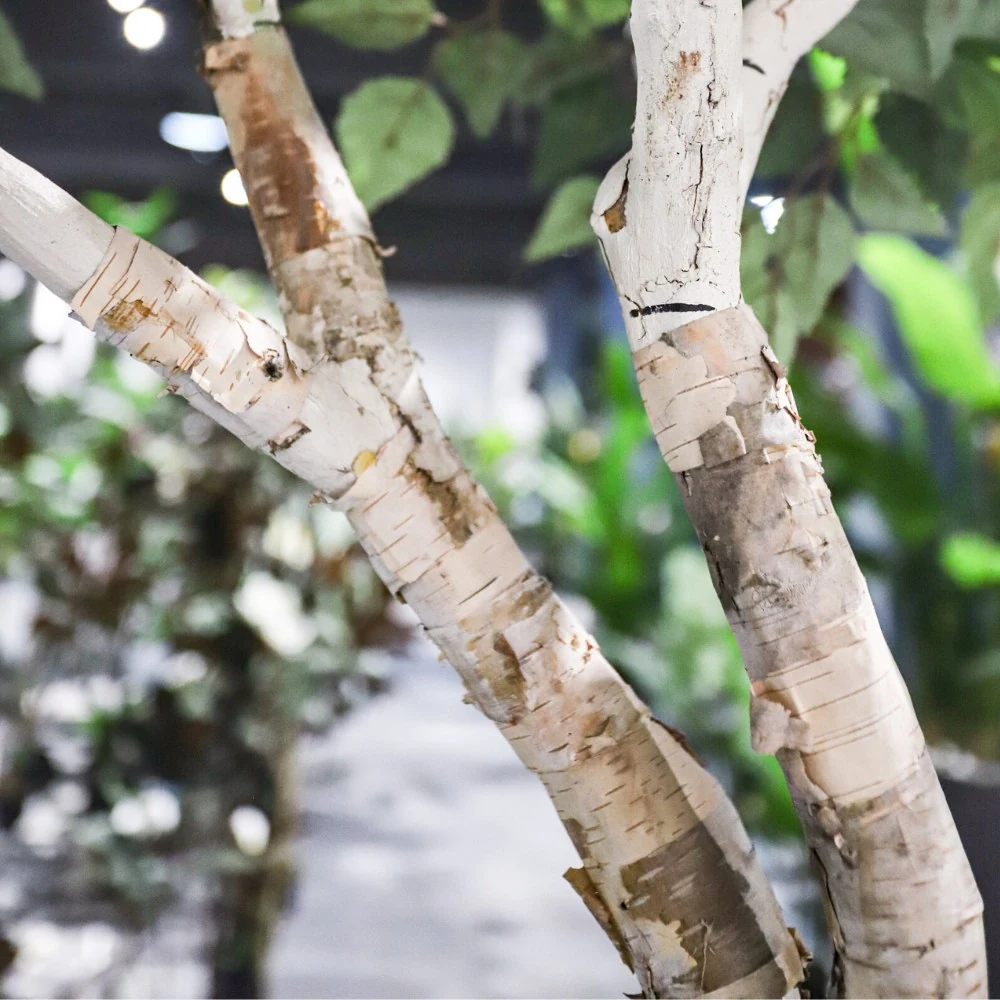 Artificial birch tree real bark trunk close-up