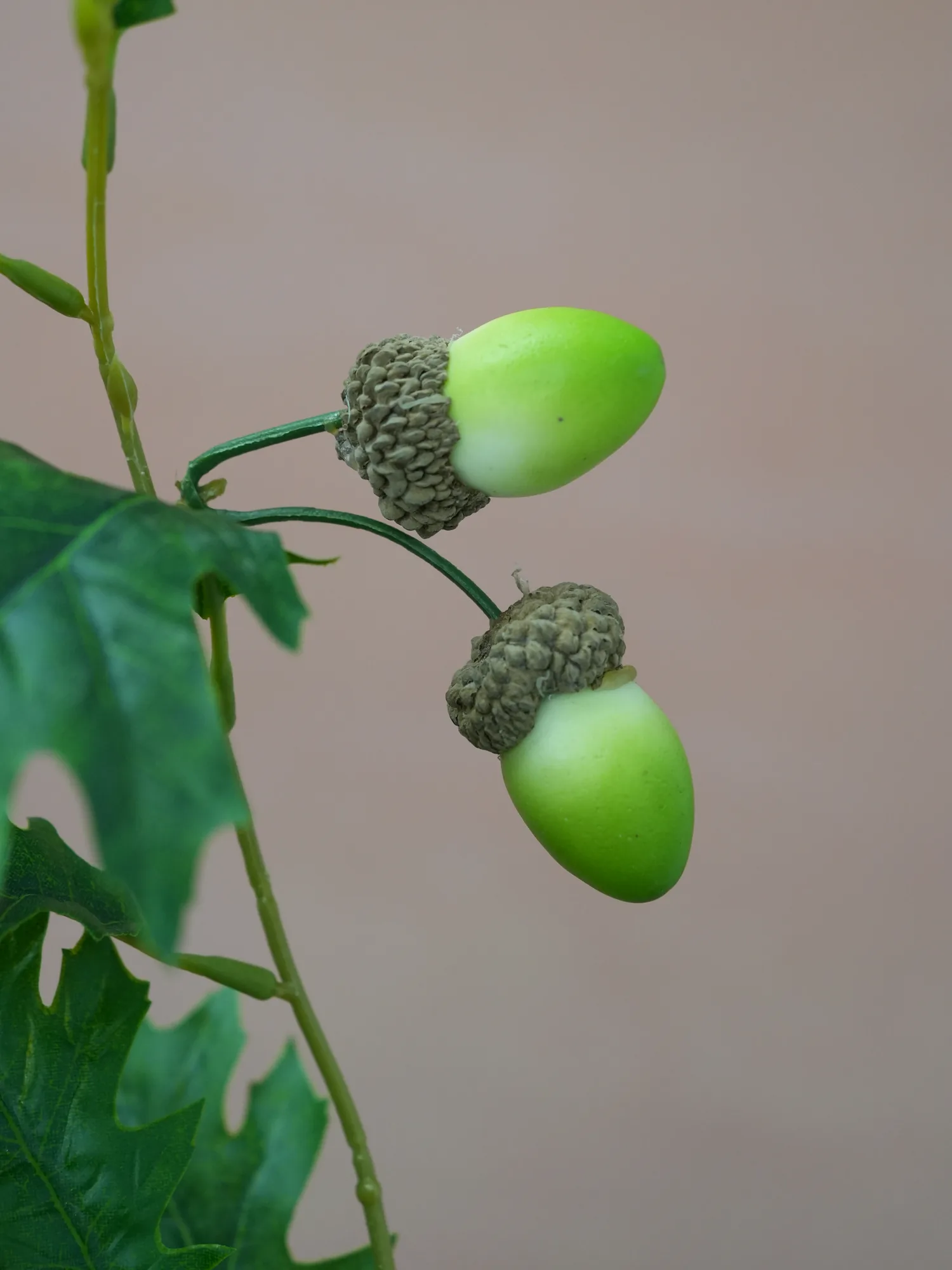 Artificial oak branch with optional acorn details