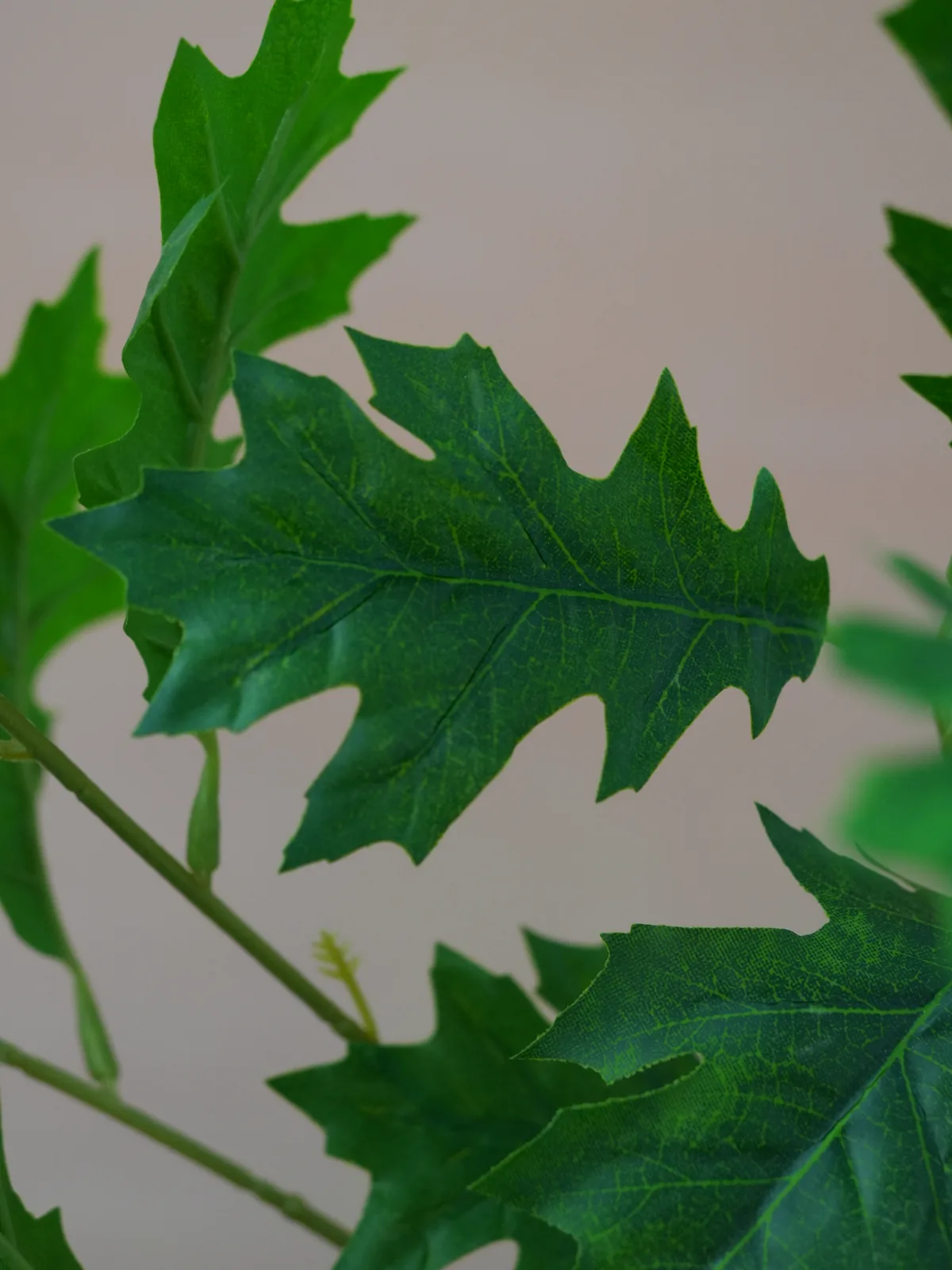Close view of a lobed artificial oak leaf