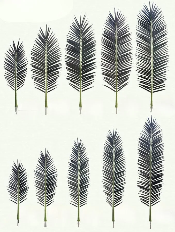 Different preserved palm leaf forms and foliage tones for project selection