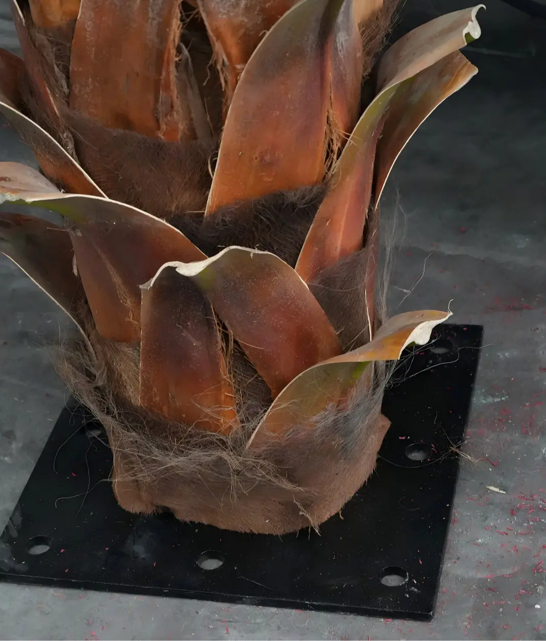 Steel base plate and internal structure detail for a preserved palm tree