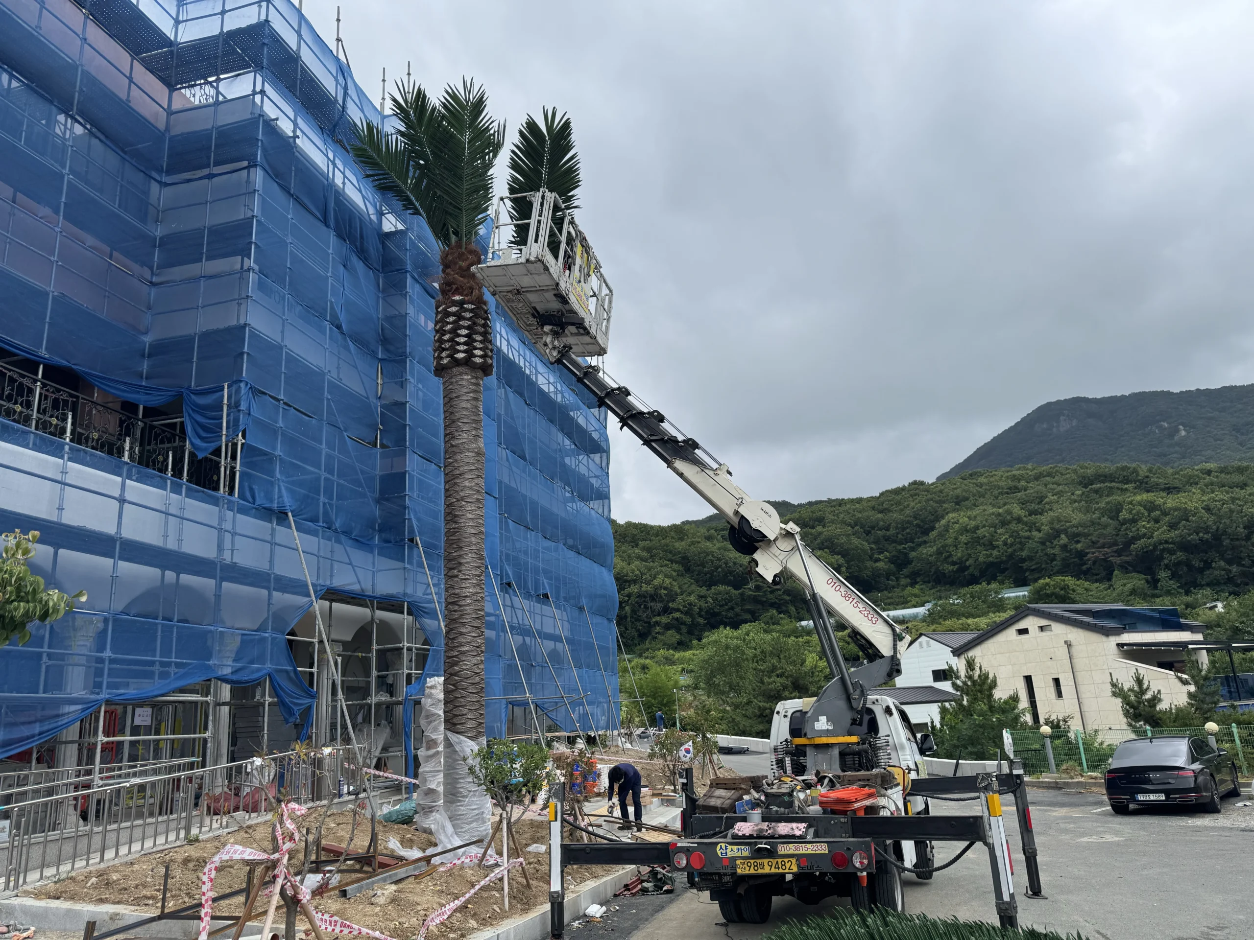 Oakco team providing on-site installation support for artificial palm trees in Busan