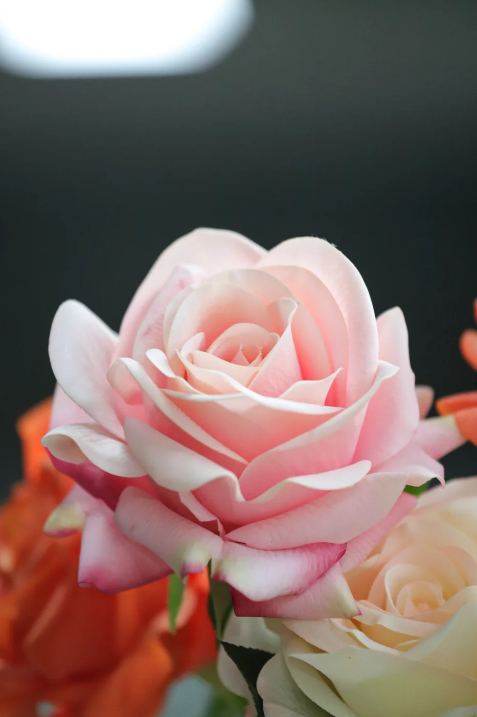 Close-up of a pale pink real-touch artificial rose showing layered petal detail