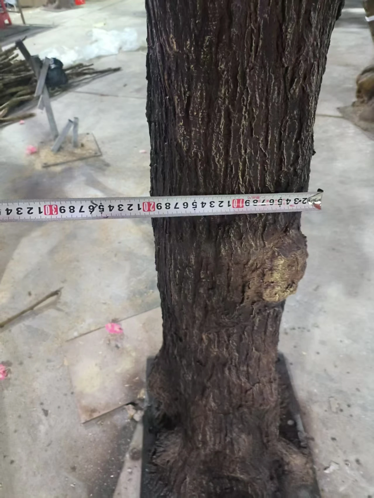 Trunk diameter measurement on an artificial cherry blossom tree