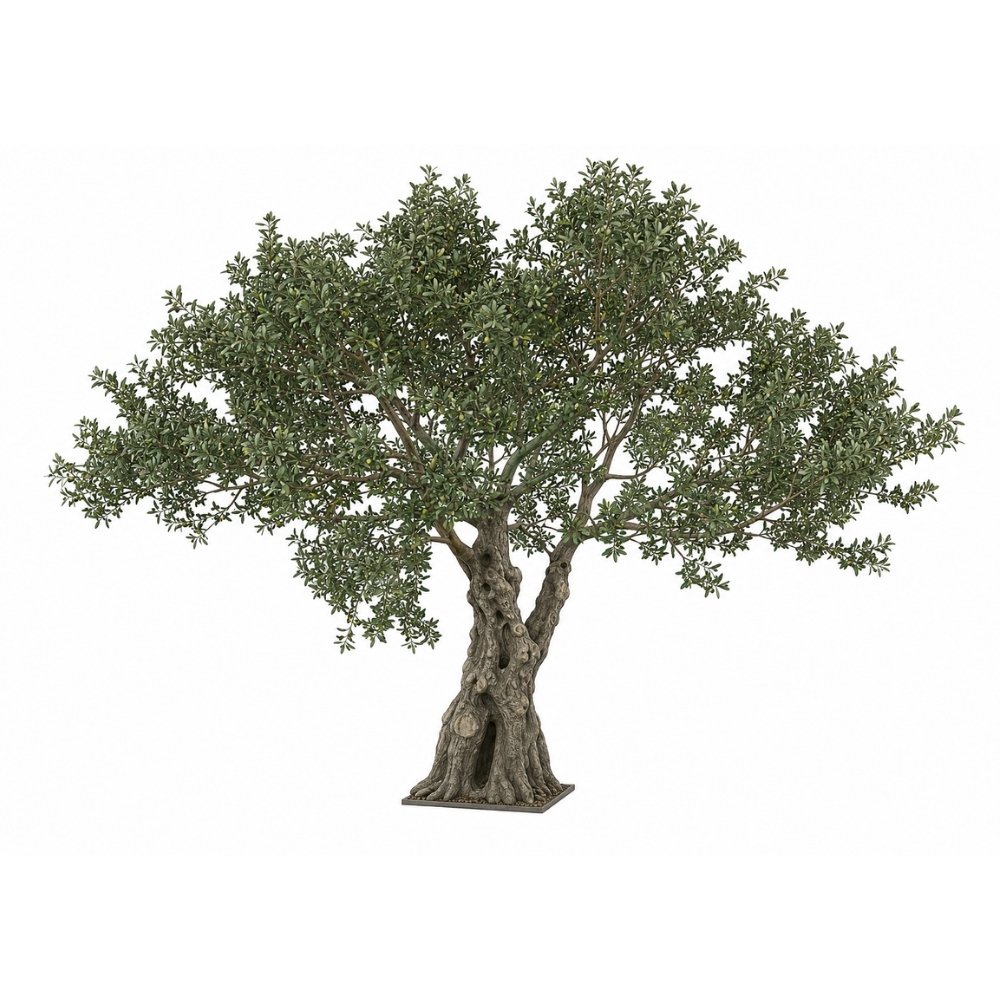 Large artificial olive tree 3D model for commercial interior and landscape planning