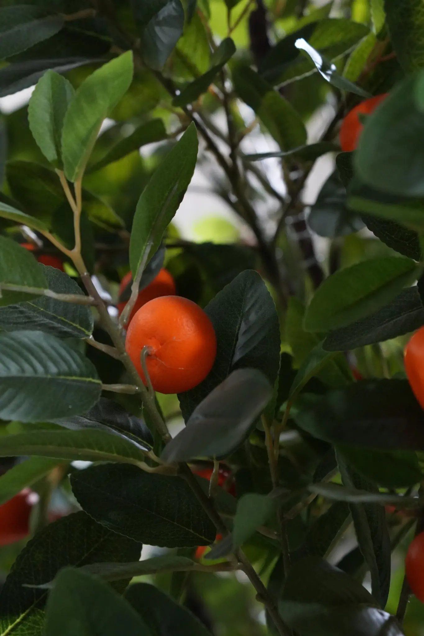 Close-up of layered foliage and orange fruit on an artificial orange tree